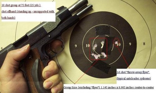 9mm springfield 1911+target nsxprime cropped.JPG