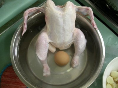 chicken waterbirth.jpg