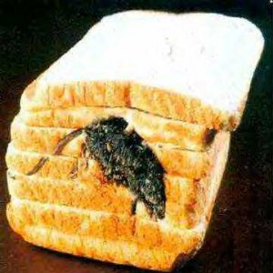 mousy bread.jpg