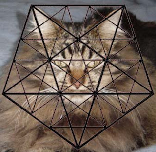 cat+pentagram.jpg