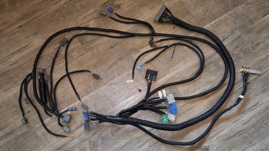 NSX-J adapter harness.jpg