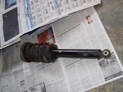 Front shock coil overa.JPG