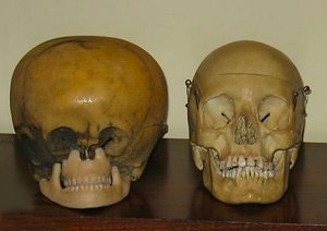 star-child-and-human-skulls-1.jpg