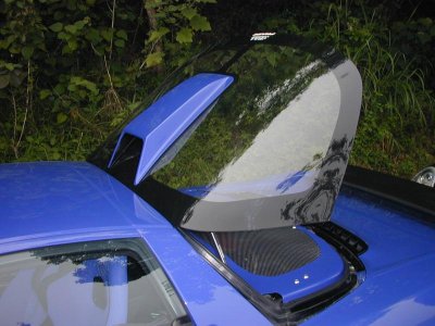 blue hatch scoop and engine cover.jpg