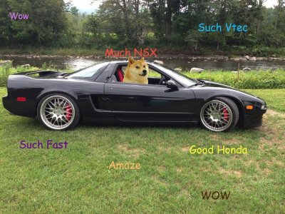 Doge with NSX.jpg