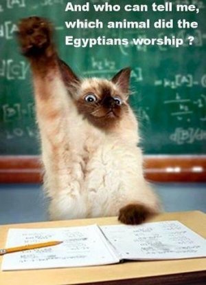 egyptian_cats.jpg