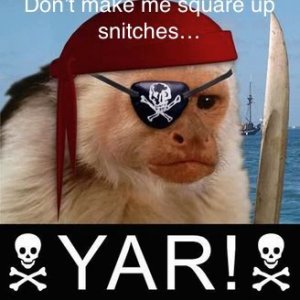 yar-piratemonkey.jpg