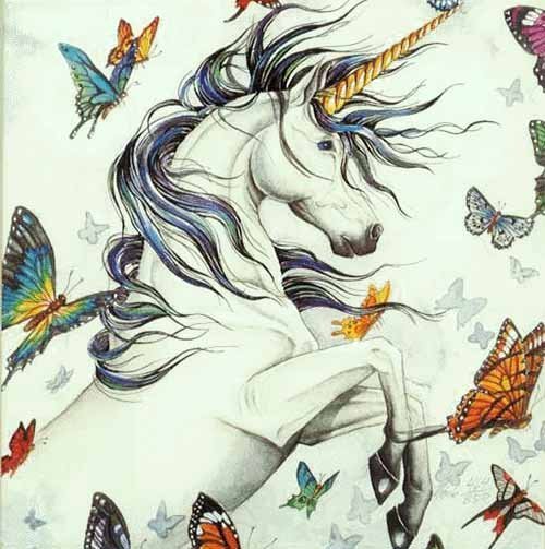 Unicorn-and-Butterflies-unicorns-6414211-500-503.jpg