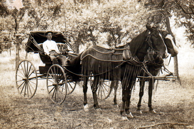 Horse_and_buggy_1910.jpg