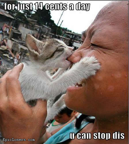 funny-pictures-cat-bites-nose-14-cents-stop-this.jpg